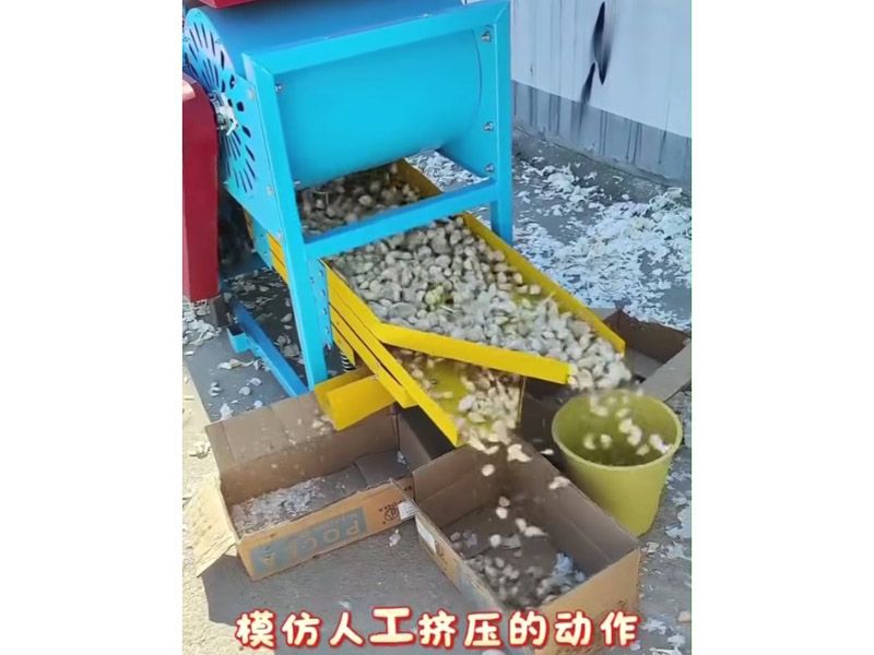 大蒜分瓣分選機視頻